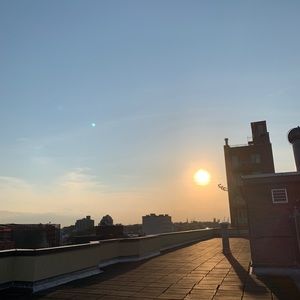 Meet your Posher, Tashi